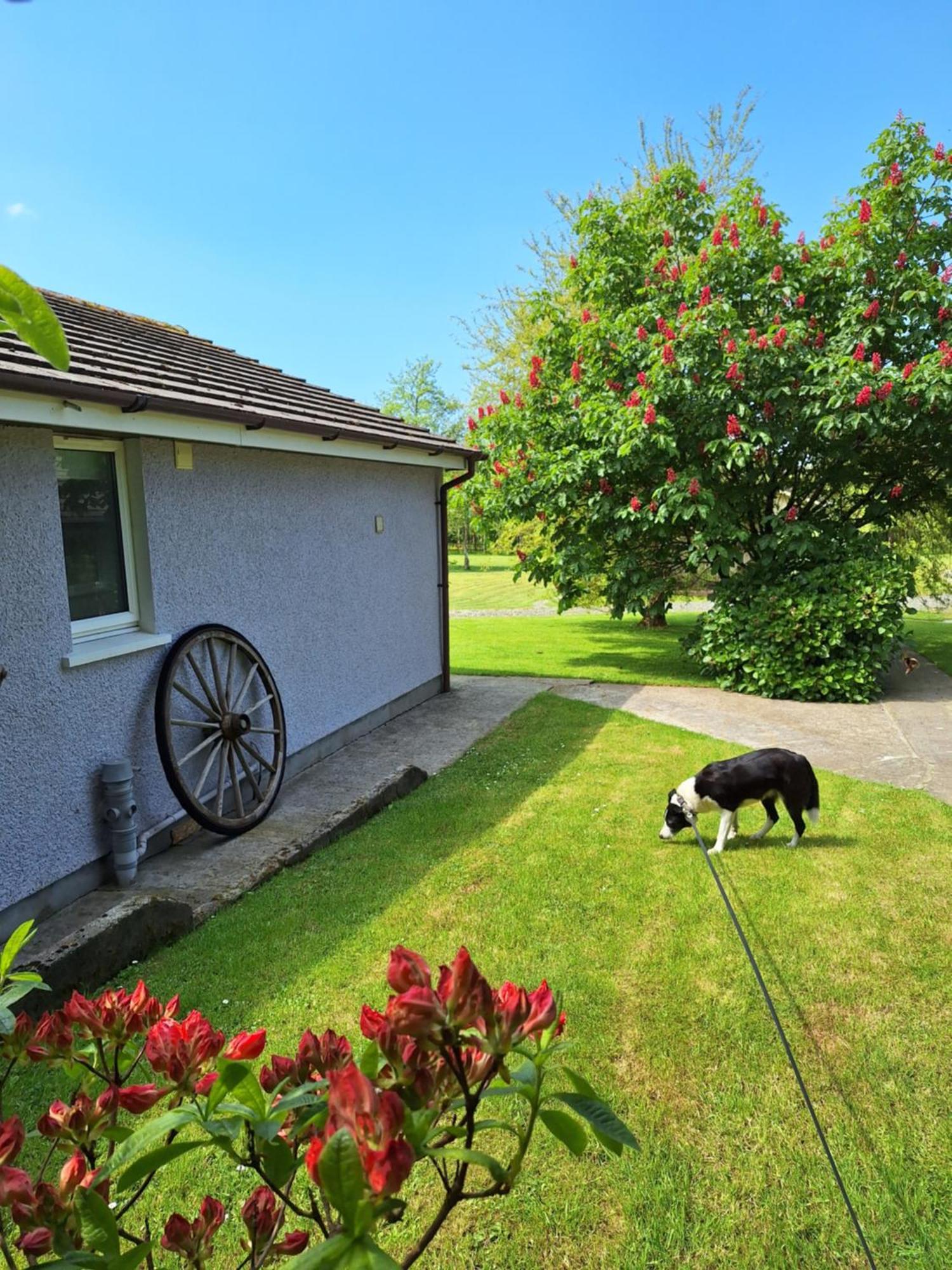 Hotel Thornbury Holiday Park Exterior foto